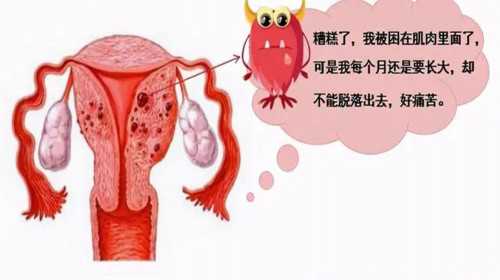 重庆专业助孕妈妈 2024重庆三代试管生男孩医院排行榜 ‘nt怎样看男女图片’